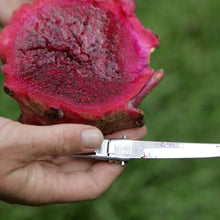 Load image into Gallery viewer, Ninja Bites - Travel Cutlery Set