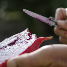 Load image into Gallery viewer, Ninja Bites - Travel Cutlery Set