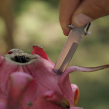 Load image into Gallery viewer, Ninja Bites - Travel Cutlery Set